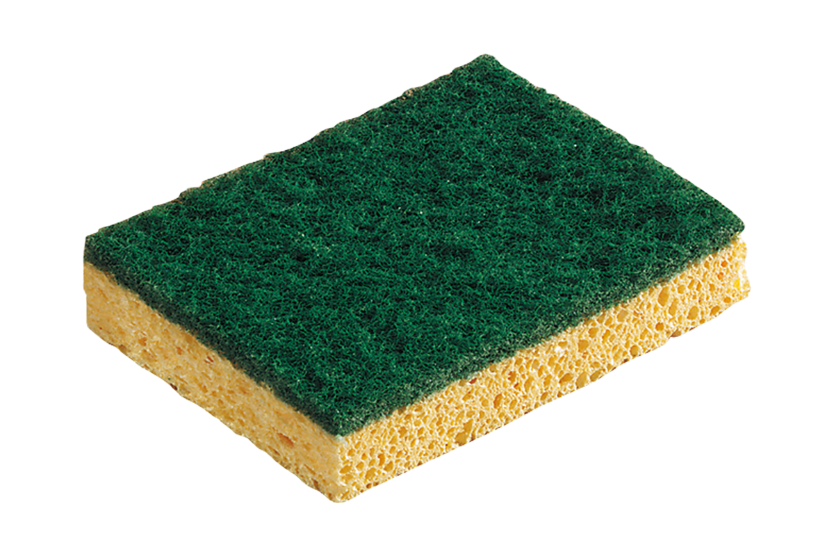 Éponge végétale Abrasive